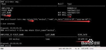 Oracle DML数据修改与事务处理 在线数据处理与交易处理的基石